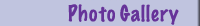 Photo Gallery