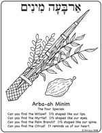 Arba-ah Minim Thumbnail